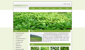 城市鹽都區(qū)旺綠果蔬種植專業(yè)合作社